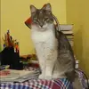 Отзыв от Наталья Пастухова